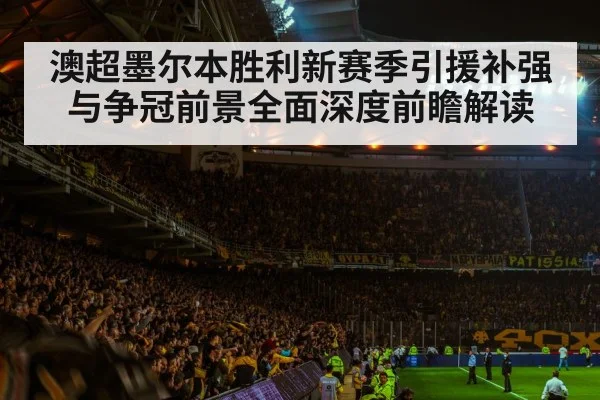 soccer stadium crowd night