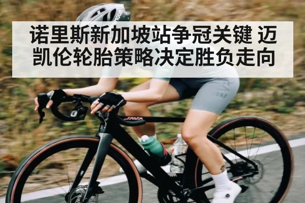 诺里斯新加坡站争冠关键 迈凯伦轮胎策略决定胜负走向